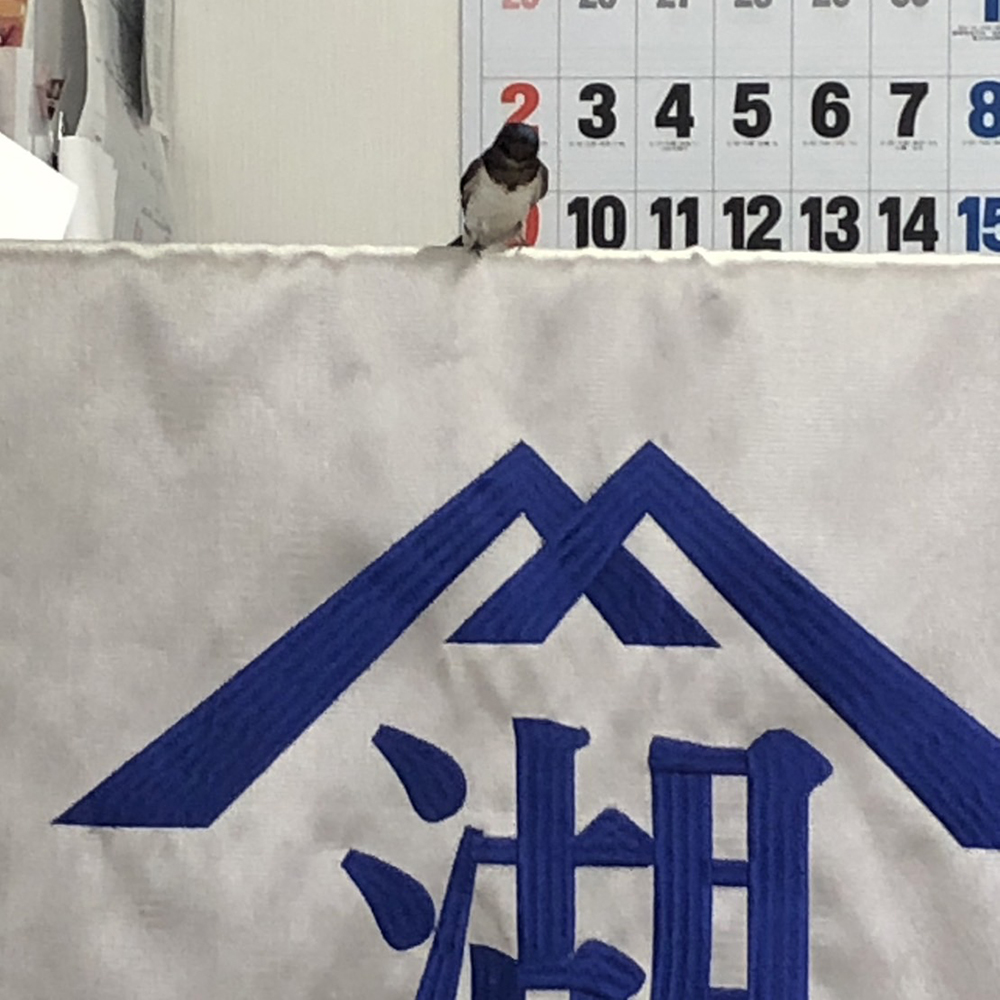 つばめ親方